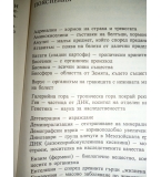 Каменното яйце - Петър Бобев