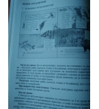Книга за учителя и учебник по Човекът и природата за 3. клас по старата програма