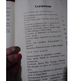 Съкровището на Махараджата – Иван Милев
