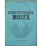 Конструкция мозга - С. Н. Оленев