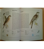 The Illustrated Book of Birds - Английска енциклопедия за птиците
