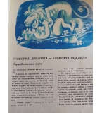 Пътуване в икономиката - Петър Раев