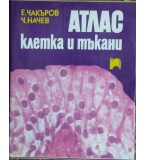 Атлас - Клетка и тъкани - Емануил Чакъров, Чудомир Начев