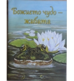 Божието чудо - жабата - Ребека Нюсвангер