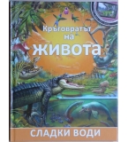Кръговратът на живота: Сладки води