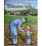 Божието чудо - зърното - Ребека Нюсвангер